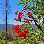 Villa-ratskopf 아파트