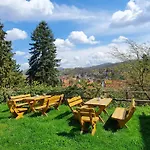 Villa-ratskopf *