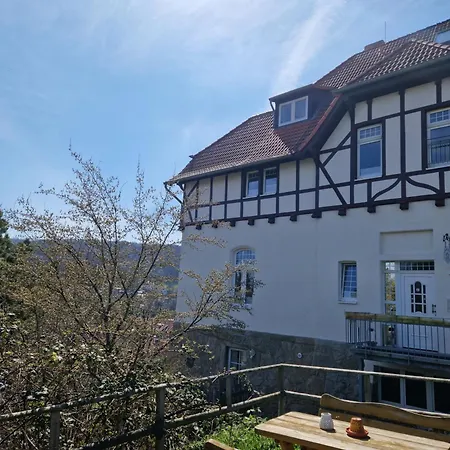 Villa-ratskopf *