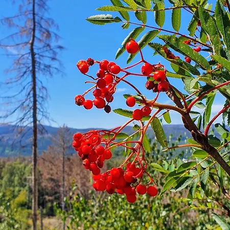 Villa-ratskopf Lejlighed
