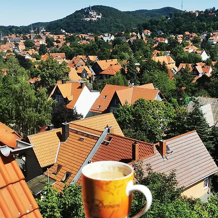 Villa-ratskopf Wernigerode
