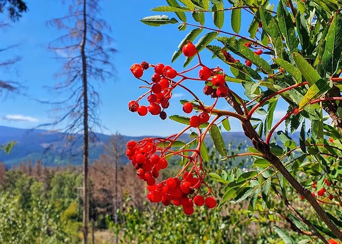 Villa-ratskopf Apartment
